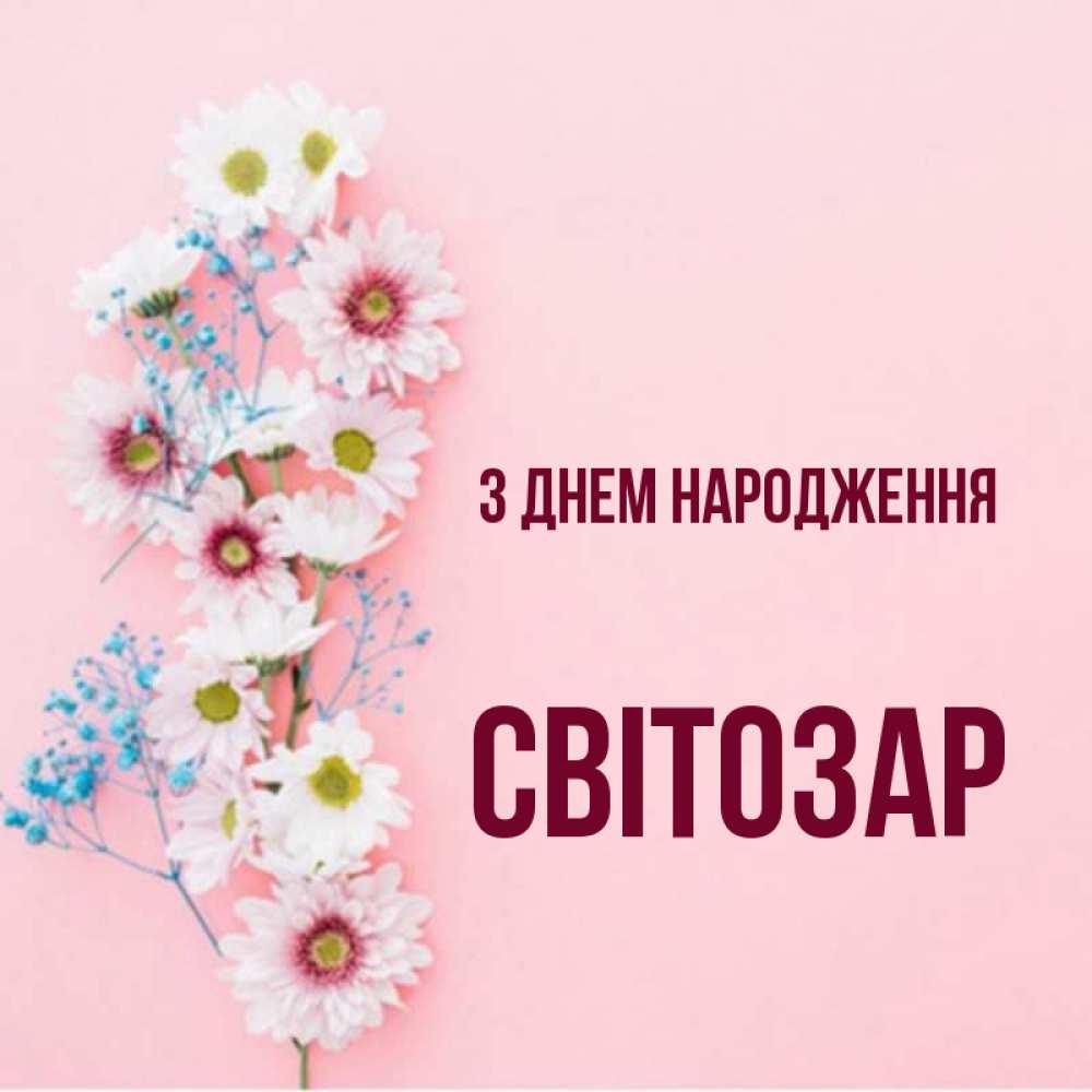 Открытка на каждый день з підписом, Світозар З Днем народження Родная моя с днем рождения тебя картинка с цветами белыми и голубыми Прикольна листівка з побажанням онлайн скачати безкоштовно 