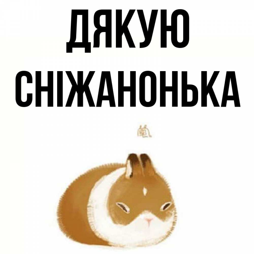 Открытка на каждый день з підписом, Сніжанонька Дякую коричнево белый домашний питомец Прикольна листівка з побажанням онлайн скачати безкоштовно 