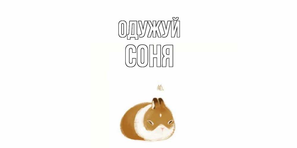 Открытка на каждый день з підписом, Соня Одужуй морская свинка на открытке с пожеланиями не болеть Прикольна листівка з побажанням онлайн скачати безкоштовно 