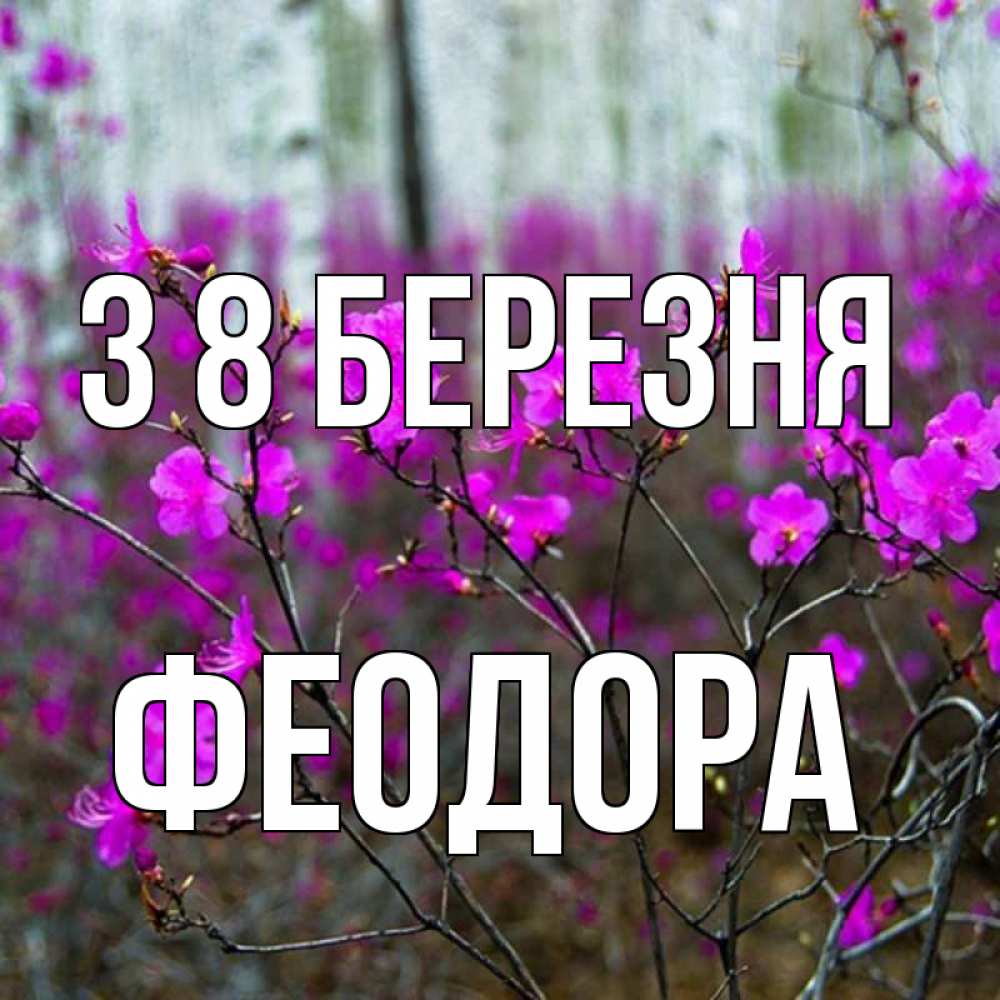 Открытка на каждый день з підписом, Феодора З 8 БЕРЕЗНЯ дикие цветы Прикольна листівка з побажанням онлайн скачати безкоштовно 