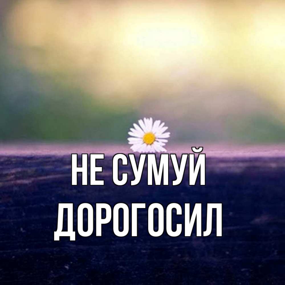 Открытка на каждый день з підписом, Дорогосил Не сумуй красота Прикольна листівка з побажанням онлайн скачати безкоштовно 