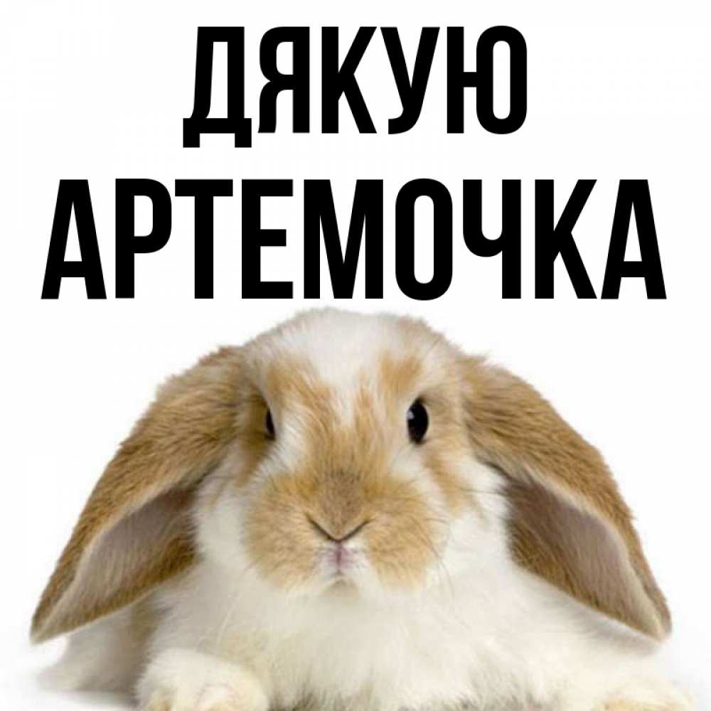 Открытка на каждый день з підписом, Артемочка Дякую коричнево белый заяц Прикольна листівка з побажанням онлайн скачати безкоштовно 