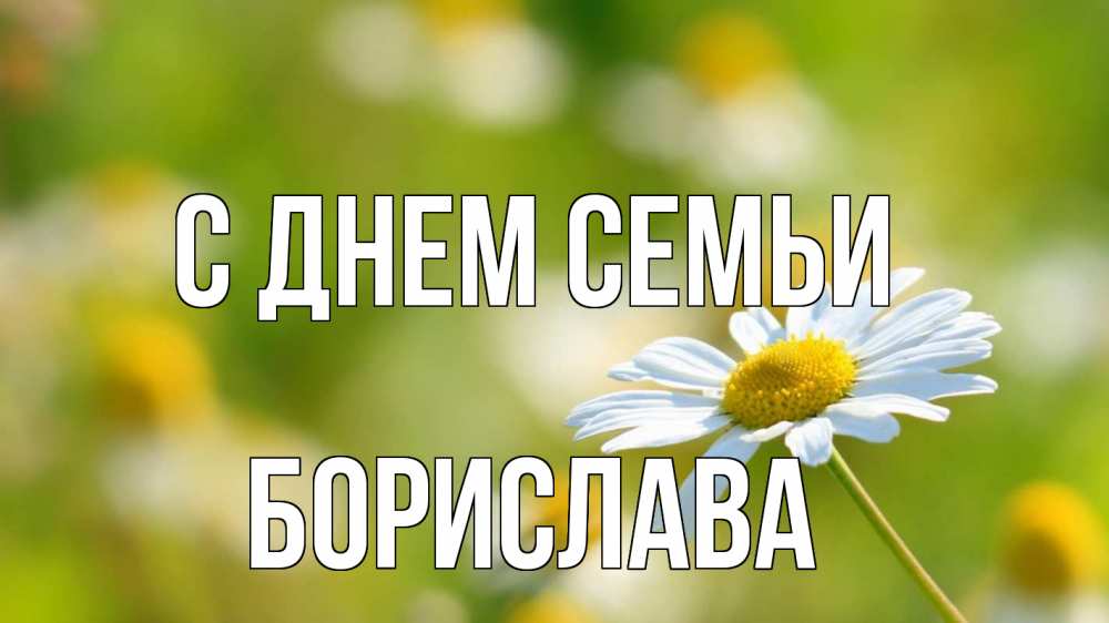 Открытка на каждый день з підписом, Борислава С днем семьи с днем семьи  1 Прикольна листівка з побажанням онлайн скачати безкоштовно 