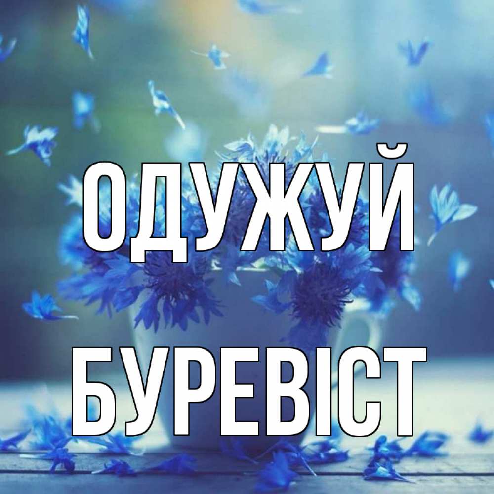 Открытка на каждый день з підписом, Буревіст Одужуй кружка с зельем и цветами Прикольна листівка з побажанням онлайн скачати безкоштовно 
