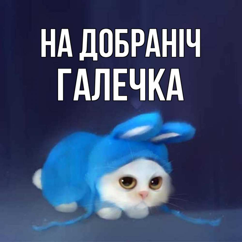 Открытка на каждый день з підписом, Галечка На добраніч кот в голубом костюме кролика с ушками Прикольна листівка з побажанням онлайн скачати безкоштовно 