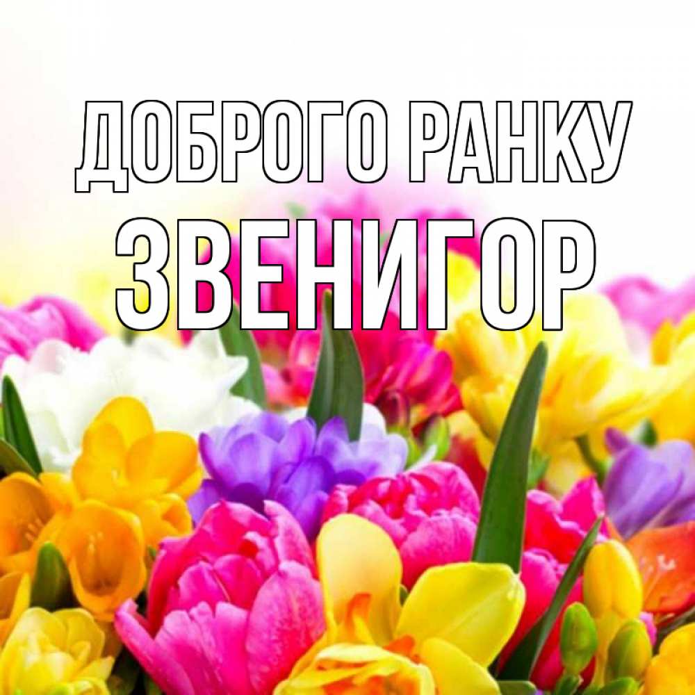 Открытка на каждый день з підписом, Звенигор Доброго ранку создать открытку со свое подписью Прикольна листівка з побажанням онлайн скачати безкоштовно 