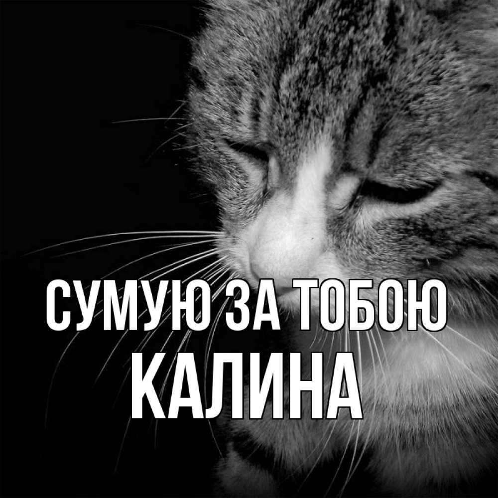 Открытка на каждый день з підписом, Калина Сумую за тобою мне скучно Прикольна листівка з побажанням онлайн скачати безкоштовно 