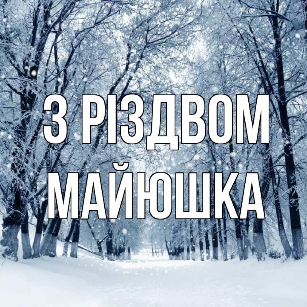 Открытка на каждый день з підписом, Майюшка З Різдвом снег, лес, парк Прикольна листівка з побажанням онлайн скачати безкоштовно 