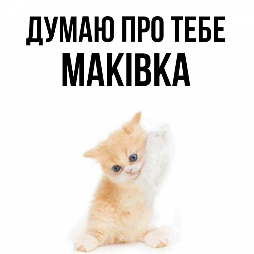 Открытка на каждый день з підписом, Маківка Думаю про тебе зверушки и милота Прикольна листівка з побажанням онлайн скачати безкоштовно 