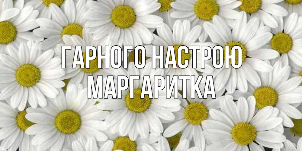 Открытка на каждый день з підписом, Маргаритка Гарного настрою поляна ромашек Прикольна листівка з побажанням онлайн скачати безкоштовно 