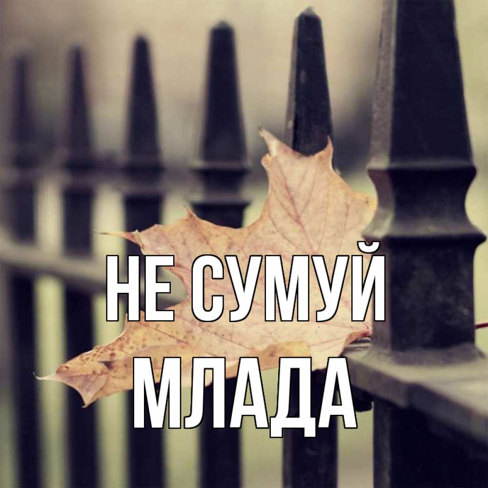 Открытка на каждый день з підписом, Млада Не сумуй лист клена Прикольна листівка з побажанням онлайн скачати безкоштовно 