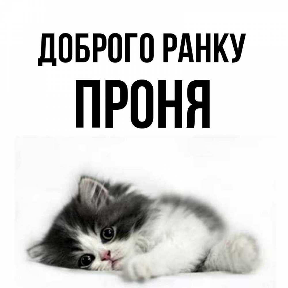 Открытка на каждый день з підписом, Проня Доброго ранку кот лапки Прикольна листівка з побажанням онлайн скачати безкоштовно 