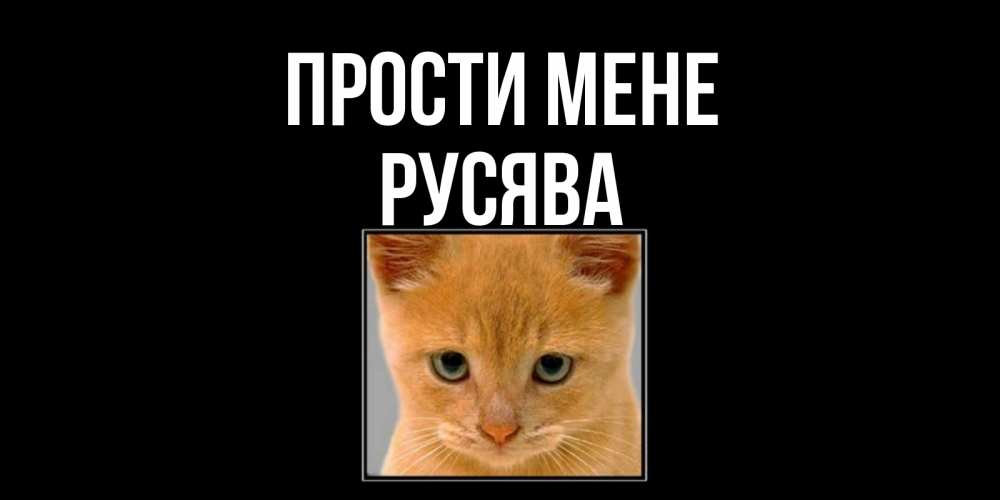 Открытка на каждый день з підписом, Русява Прости мене рыжий грустный кот просит прощения Прикольна листівка з побажанням онлайн скачати безкоштовно 