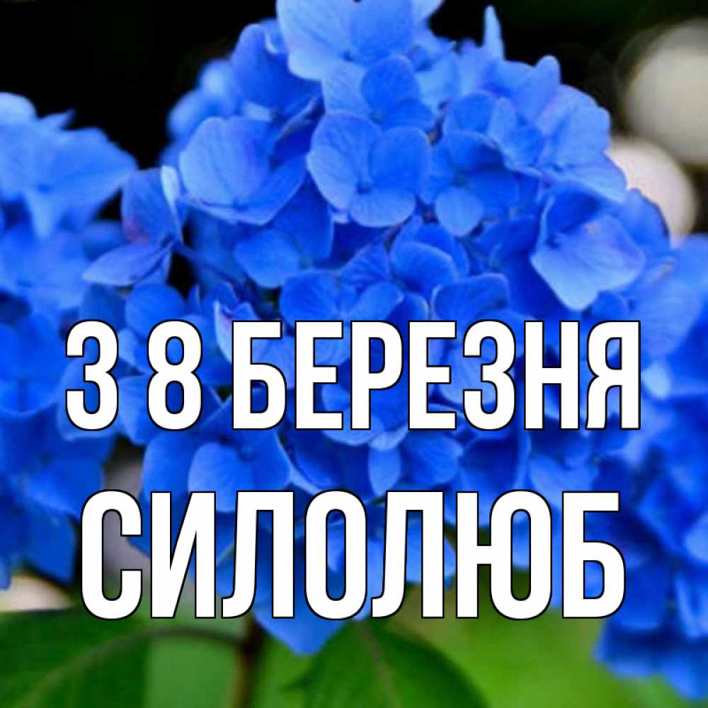 Открытка на каждый день з підписом, Силолюб З 8 БЕРЕЗНЯ синие цветы Прикольна листівка з побажанням онлайн скачати безкоштовно 
