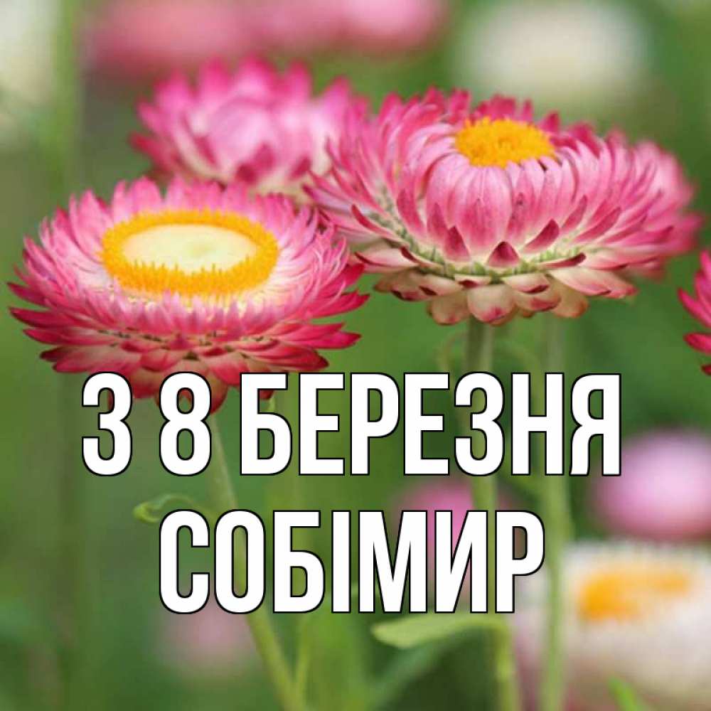 Открытка на каждый день з підписом, Собімир З 8 БЕРЕЗНЯ подарок на международный женский день Прикольна листівка з побажанням онлайн скачати безкоштовно 