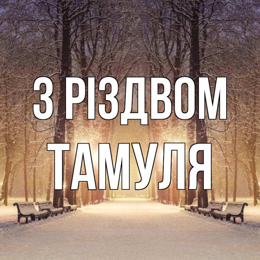 Открытка на каждый день з підписом, Тамуля З Різдвом зима, парк, фонарь, лес Прикольна листівка з побажанням онлайн скачати безкоштовно 