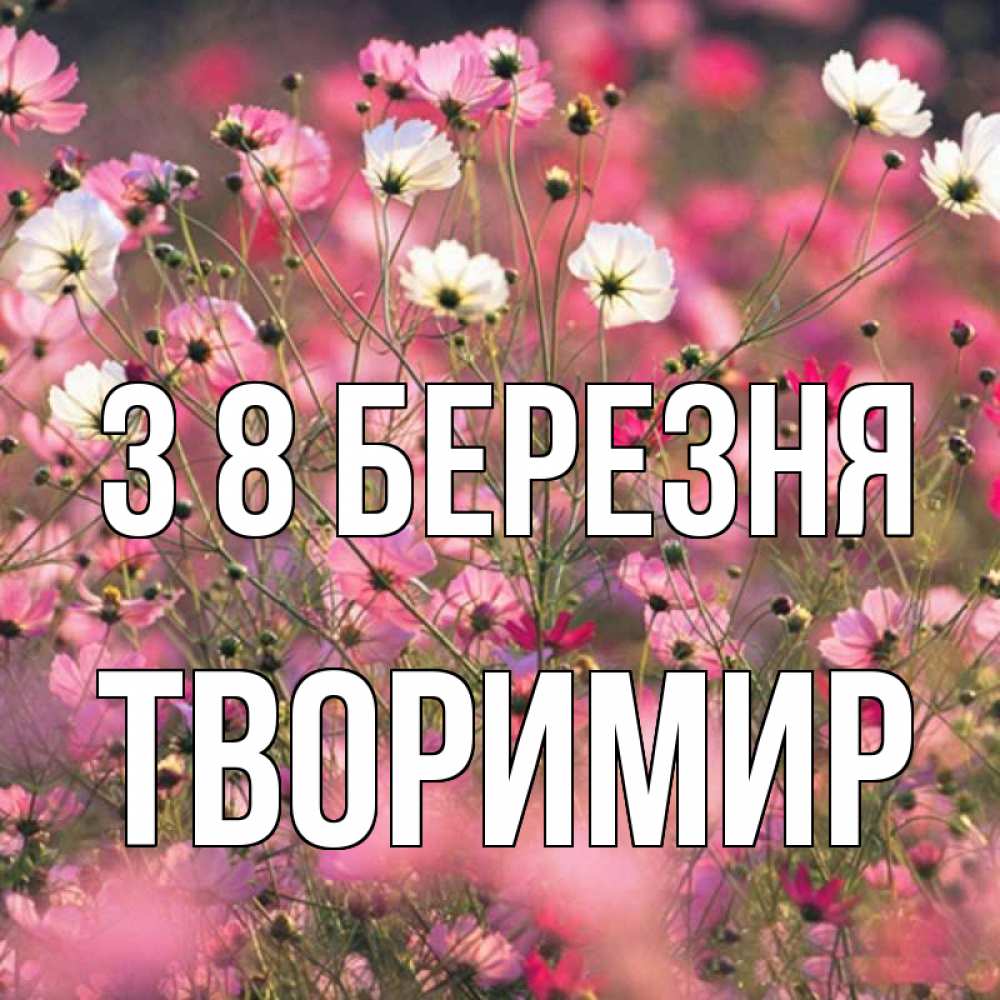 Открытка на каждый день з підписом, Творимир З 8 БЕРЕЗНЯ красиво 1 Прикольна листівка з побажанням онлайн скачати безкоштовно 