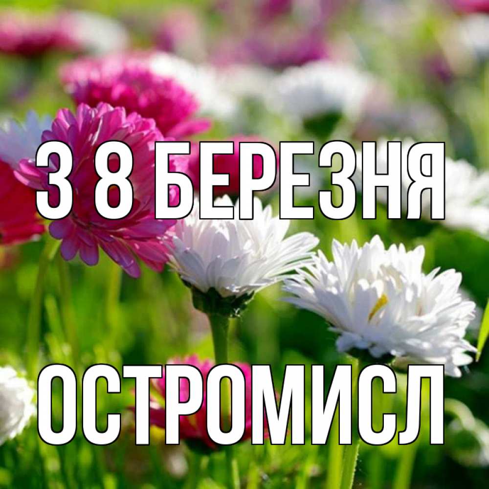 Открытка на каждый день з підписом, Остромисл З 8 БЕРЕЗНЯ международный женский день 1 Прикольна листівка з побажанням онлайн скачати безкоштовно 