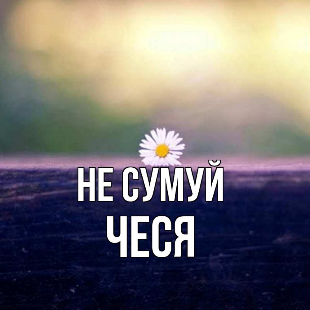 Открытка на каждый день з підписом, Чеся Не сумуй красота Прикольна листівка з побажанням онлайн скачати безкоштовно 
