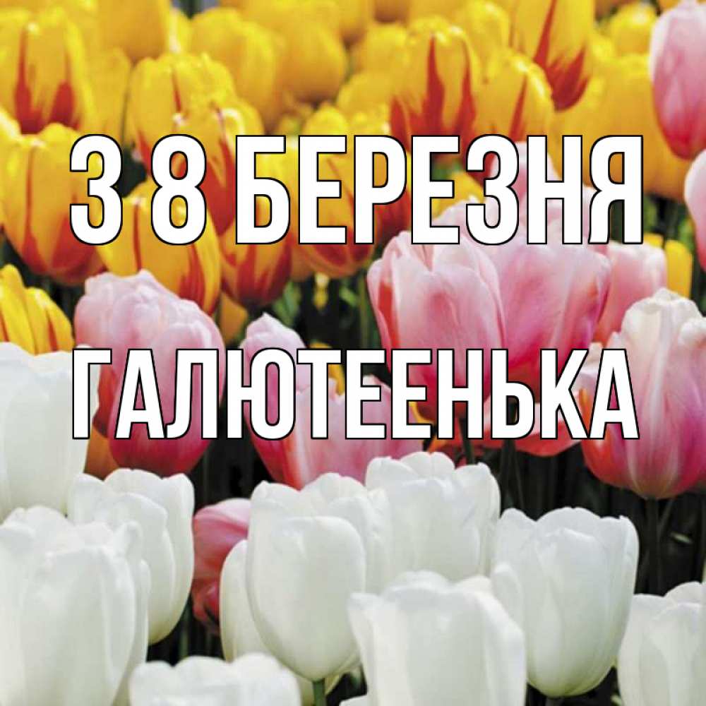 Открытка на каждый день з підписом, Галютеенька З 8 БЕРЕЗНЯ разноцветные цветы Прикольна листівка з побажанням онлайн скачати безкоштовно 