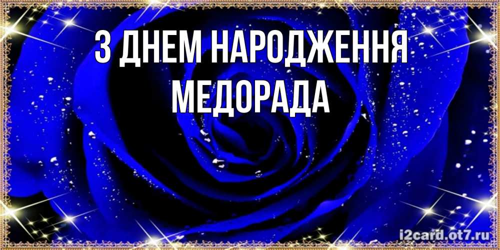 Открытка на каждый день з підписом, Медорада З Днем народження голубые цветы в росе Прикольна листівка з побажанням онлайн скачати безкоштовно 