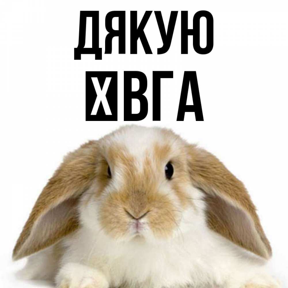 Открытка на каждый день з підписом, Ївга Дякую коричнево белый заяц Прикольна листівка з побажанням онлайн скачати безкоштовно 