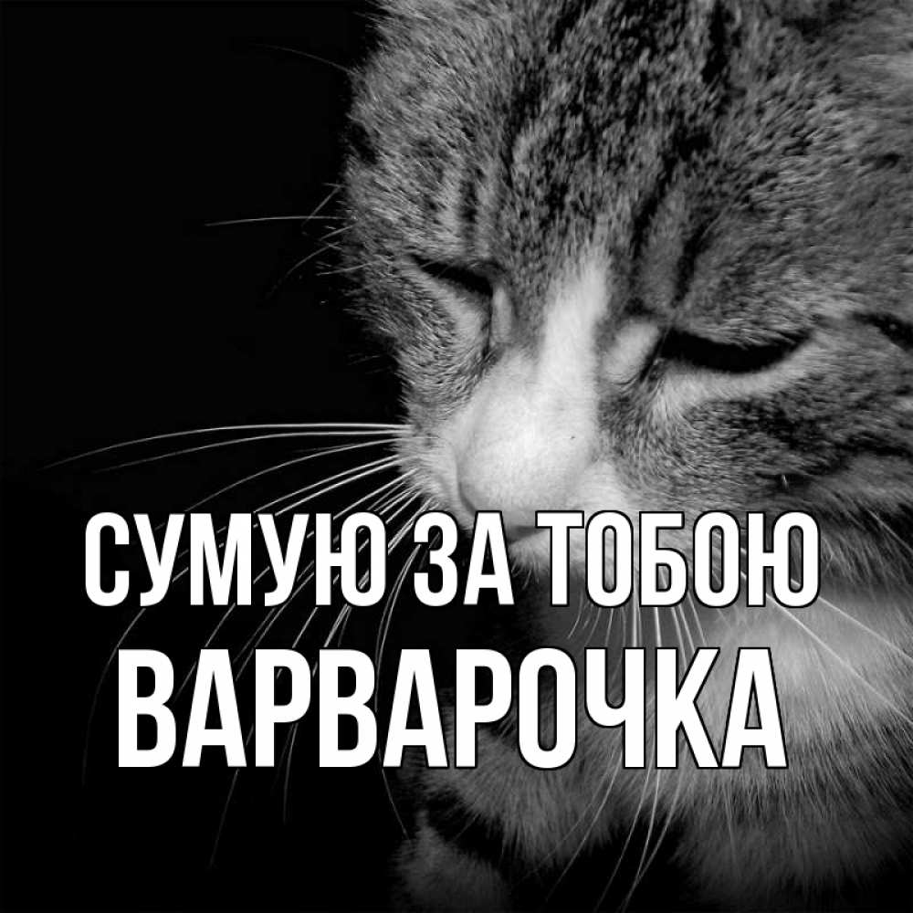 Открытка на каждый день з підписом, Варварочка Сумую за тобою мне скучно Прикольна листівка з побажанням онлайн скачати безкоштовно 