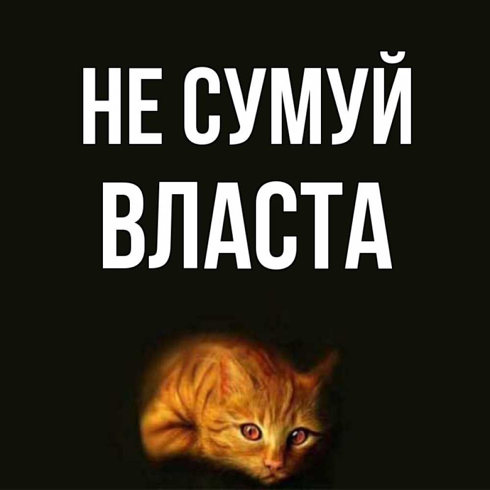 Открытка на каждый день з підписом, Власта Не сумуй лежащий кот в темноте Прикольна листівка з побажанням онлайн скачати безкоштовно 