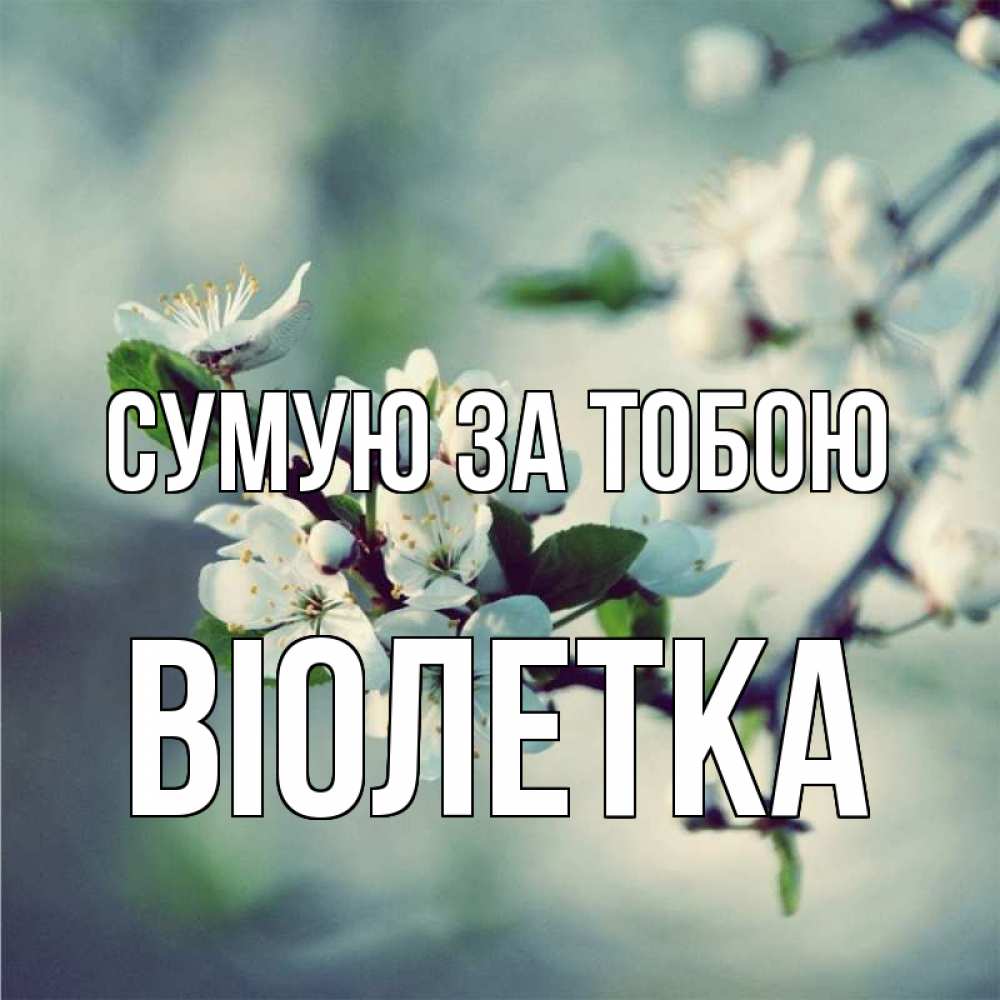 Открытка на каждый день з підписом, Віолетка Сумую за тобою весна Прикольна листівка з побажанням онлайн скачати безкоштовно 