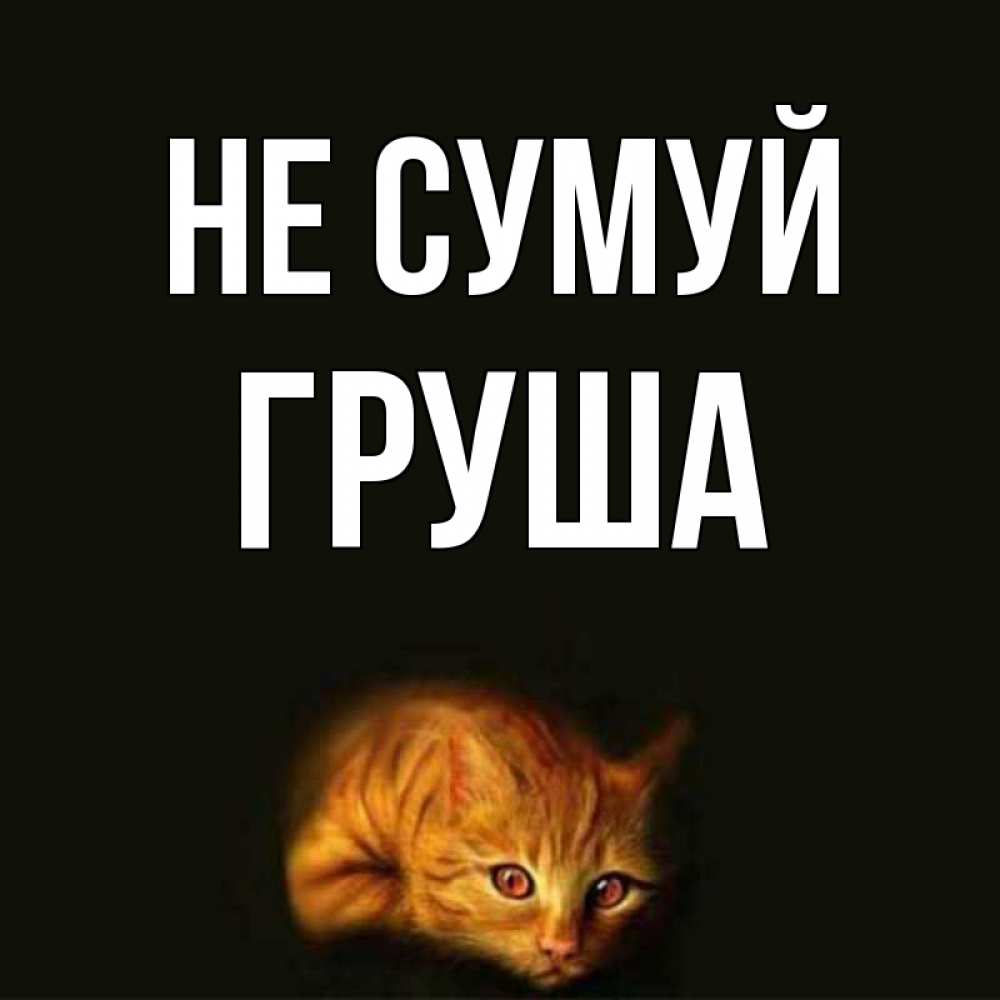 Открытка на каждый день з підписом, Груша Не сумуй лежащий кот в темноте Прикольна листівка з побажанням онлайн скачати безкоштовно 