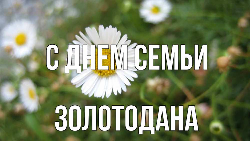 Открытка на каждый день з підписом, Золотодана С днем семьи с днем семьи Прикольна листівка з побажанням онлайн скачати безкоштовно 
