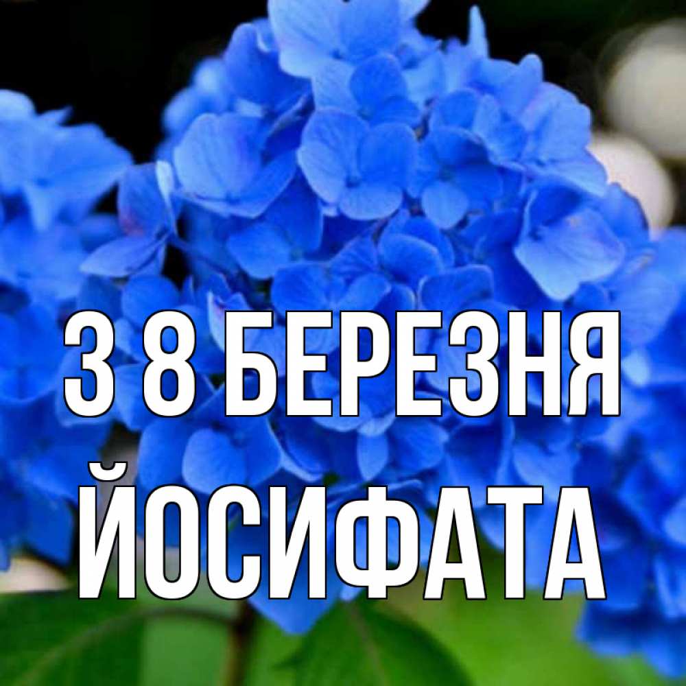 Открытка на каждый день з підписом, Йосифата З 8 БЕРЕЗНЯ синие цветы Прикольна листівка з побажанням онлайн скачати безкоштовно 