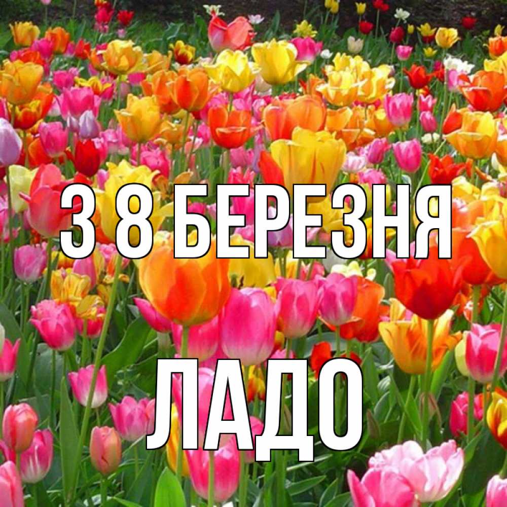 Открытка на каждый день з підписом, Ладо З 8 БЕРЕЗНЯ на международный женский день Прикольна листівка з побажанням онлайн скачати безкоштовно 
