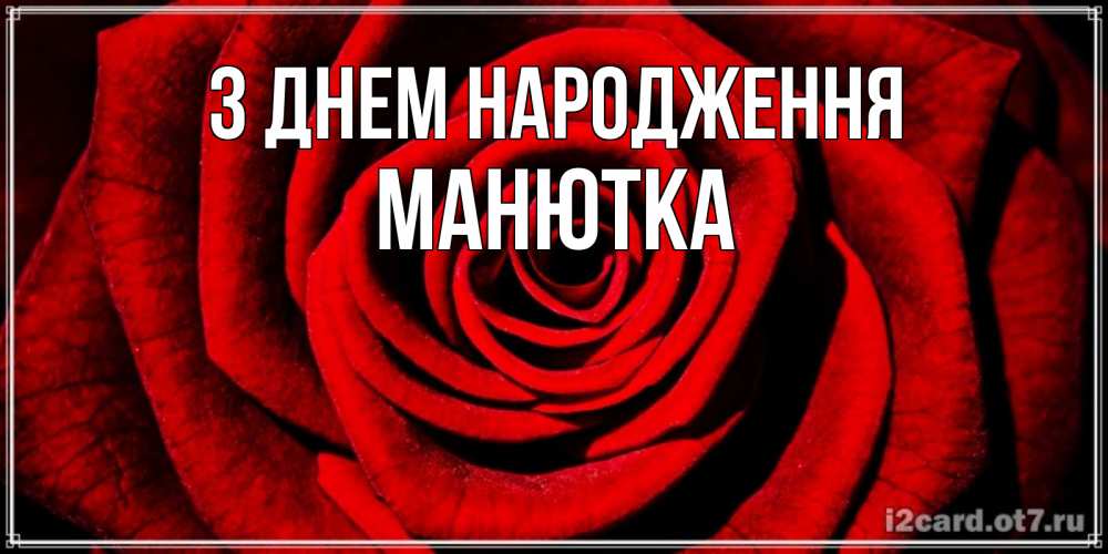 Открытка на каждый день з підписом, Манютка З Днем народження алая роза Прикольна листівка з побажанням онлайн скачати безкоштовно 