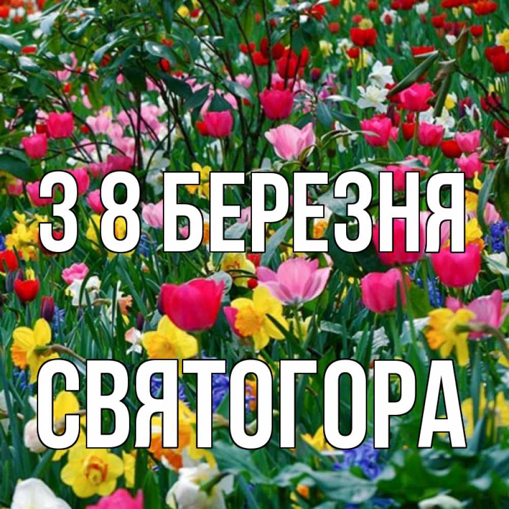 Открытка на каждый день з підписом, Святогора З 8 БЕРЕЗНЯ с международным женским днем поздравления для женщины Прикольна листівка з побажанням онлайн скачати безкоштовно 