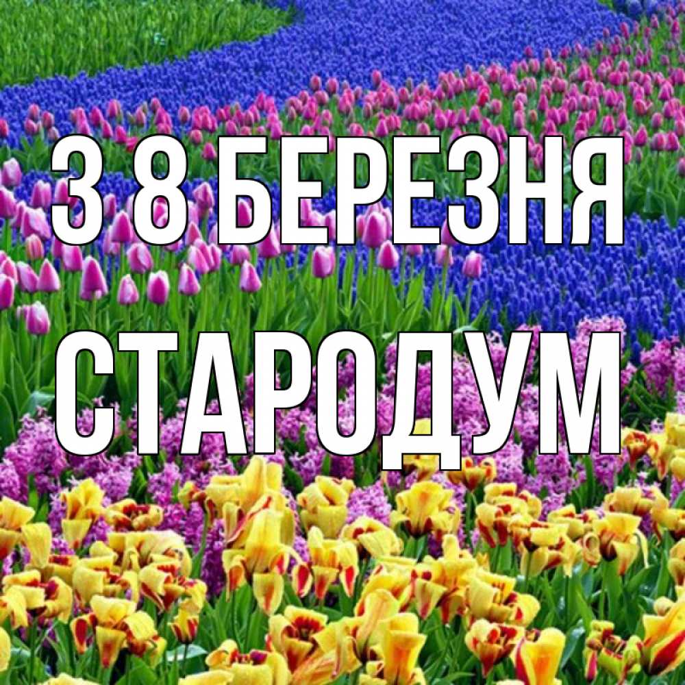 Открытка на каждый день з підписом, Стародум З 8 БЕРЕЗНЯ цветы Прикольна листівка з побажанням онлайн скачати безкоштовно 
