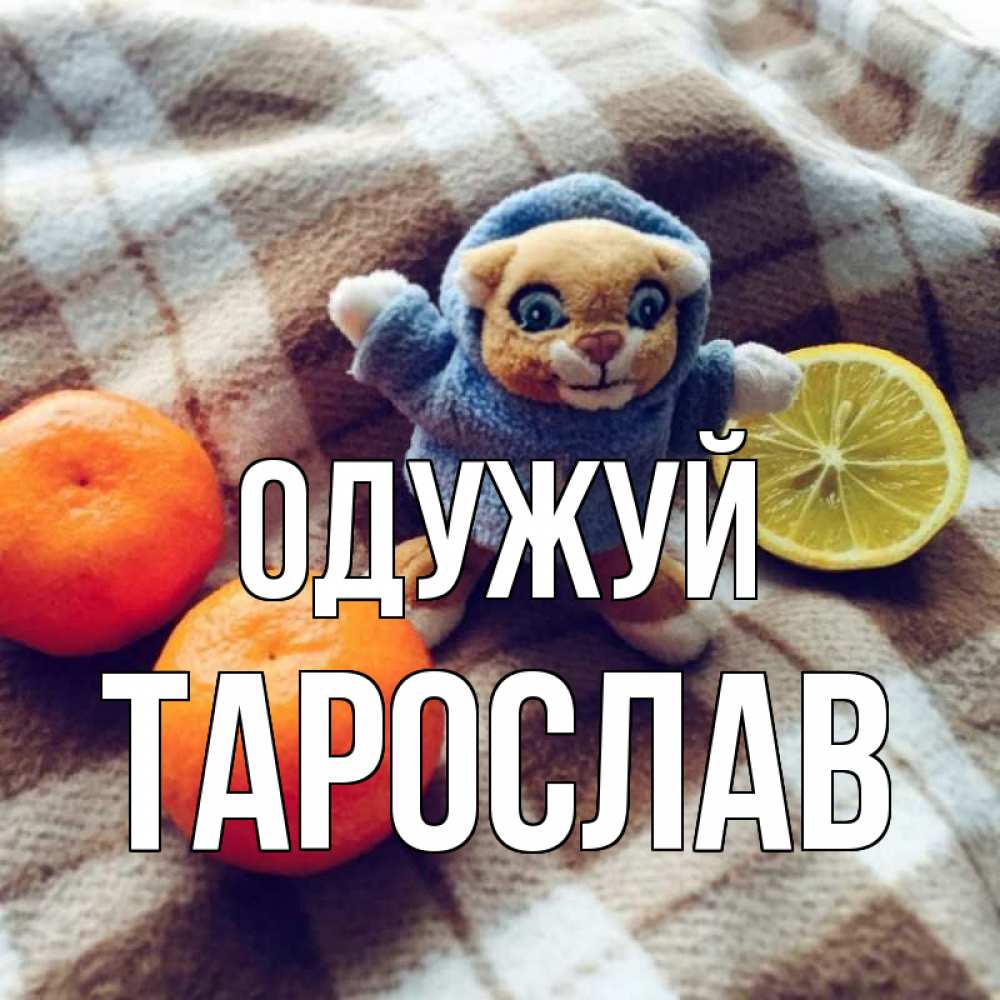 Открытка на каждый день з підписом, Тарослав Одужуй вот тебе апельсинка и лимон Прикольна листівка з побажанням онлайн скачати безкоштовно 