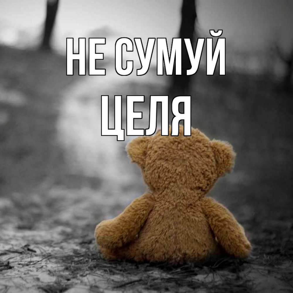 Открытка на каждый день з підписом, Целя Не сумуй медведь со спин Прикольна листівка з побажанням онлайн скачати безкоштовно 