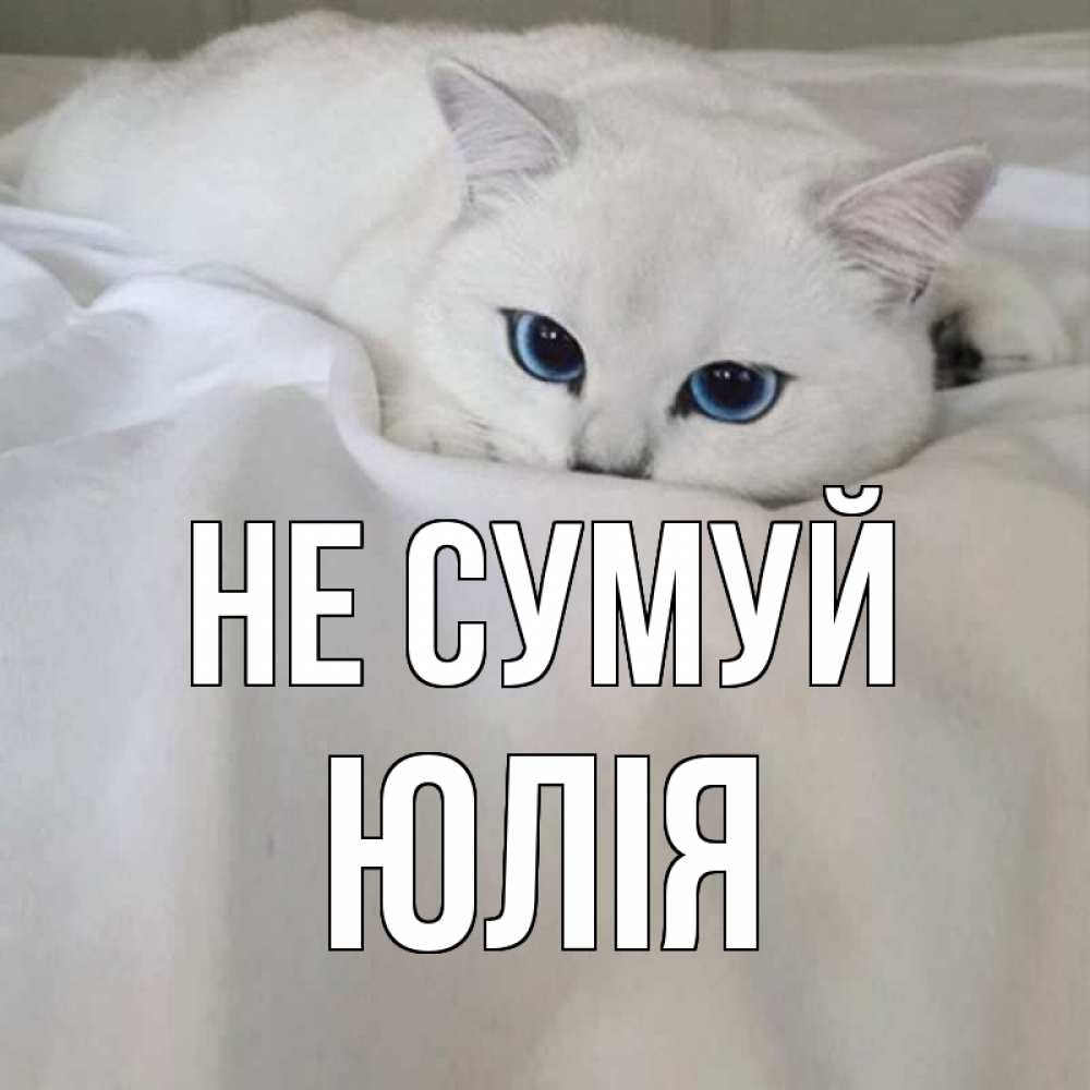 Открытка на каждый день з підписом, Юлія Не сумуй белый кот с голубыми глазами на белоснежной кровати Прикольна листівка з побажанням онлайн скачати безкоштовно 