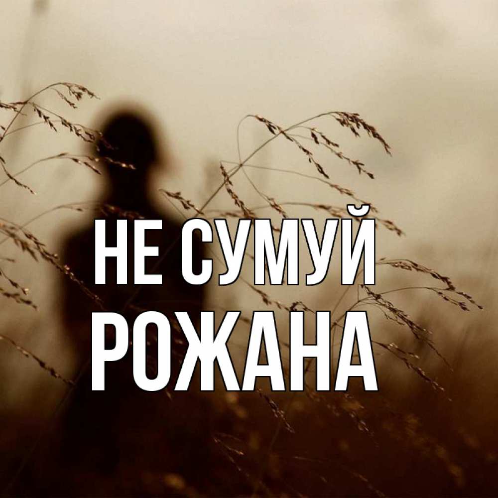 Открытка на каждый день з підписом, Рожана Не сумуй грусть Прикольна листівка з побажанням онлайн скачати безкоштовно 