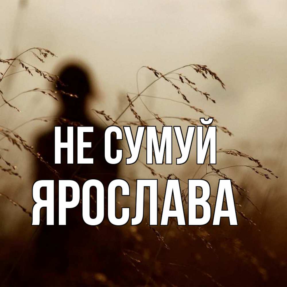 Открытка на каждый день з підписом, Ярослава Не сумуй грусть Прикольна листівка з побажанням онлайн скачати безкоштовно 