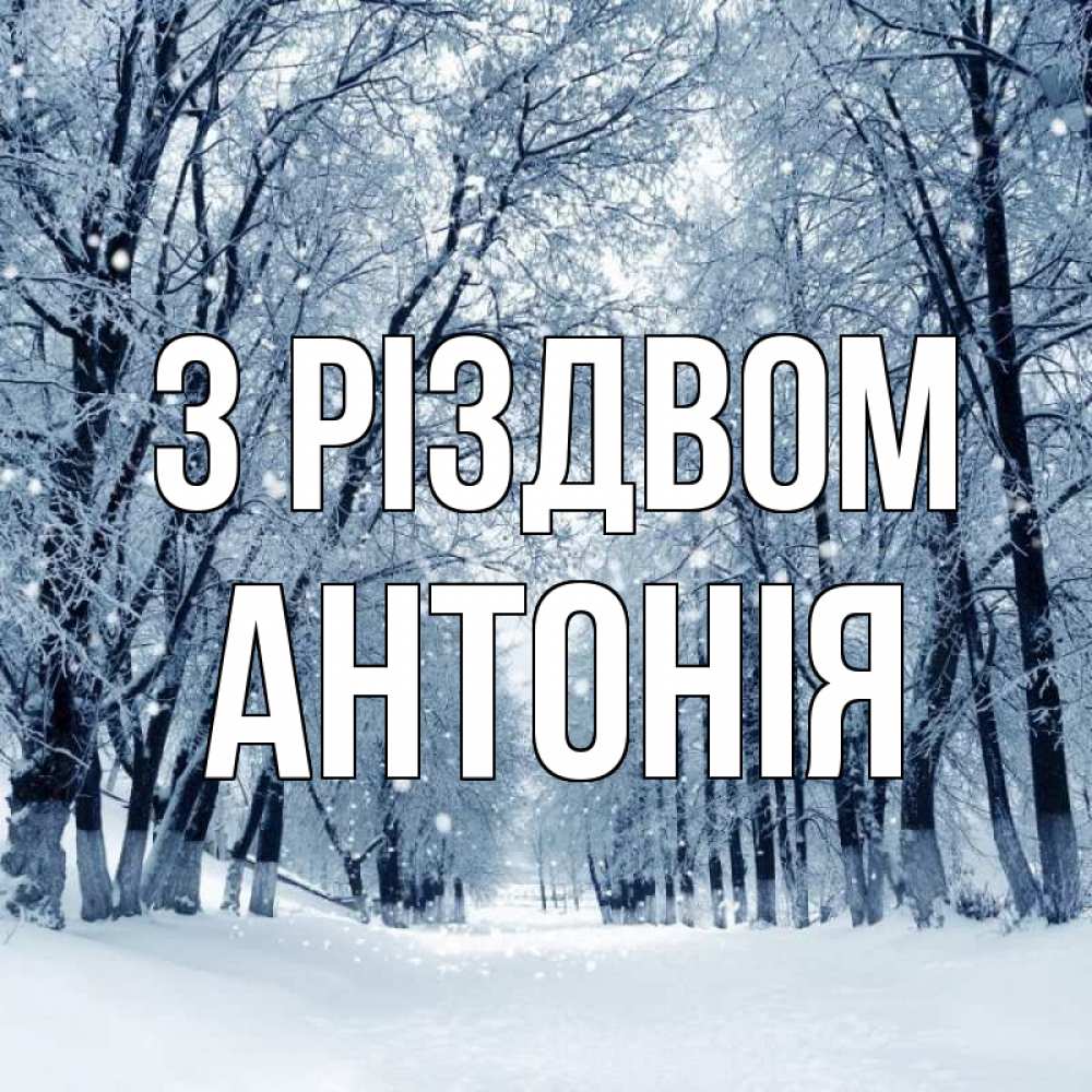 Открытка на каждый день з підписом, Антонія З Різдвом снег, лес, парк Прикольна листівка з побажанням онлайн скачати безкоштовно 
