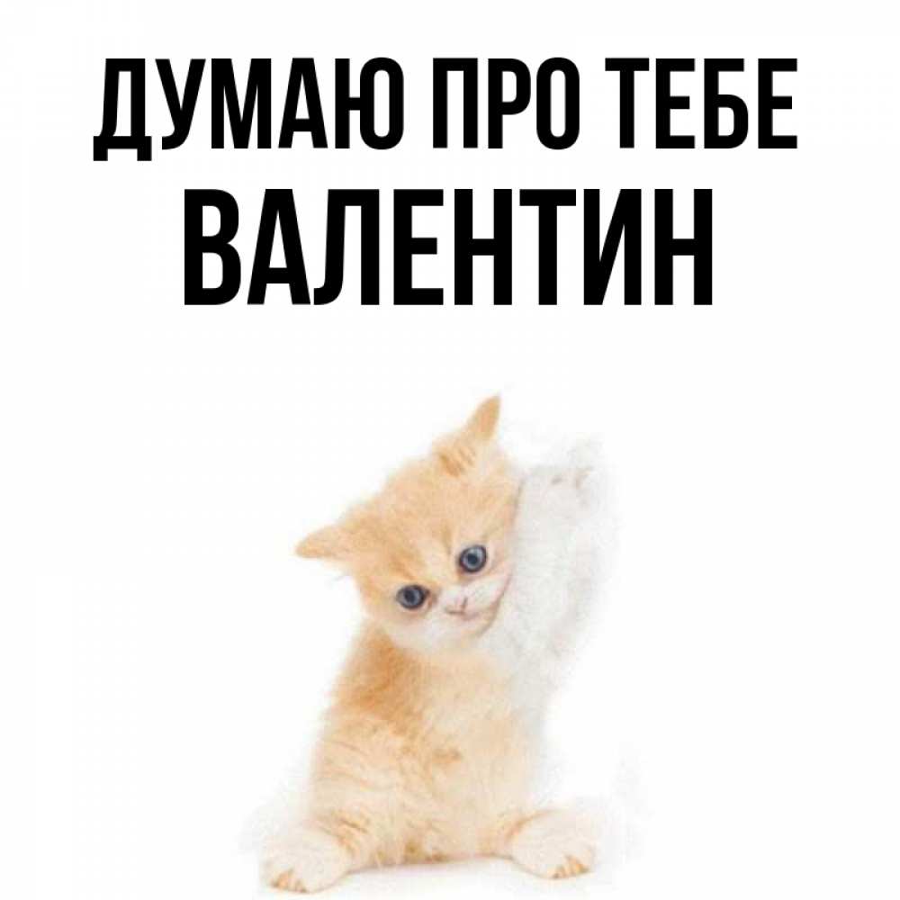 Открытка на каждый день з підписом, Валентин Думаю про тебе зверушки и милота Прикольна листівка з побажанням онлайн скачати безкоштовно 