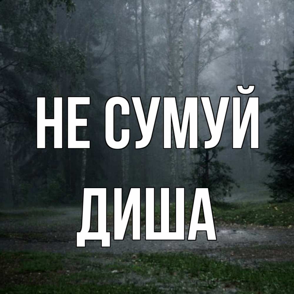Открытка на каждый день з підписом, Диша Не сумуй осень Прикольна листівка з побажанням онлайн скачати безкоштовно 