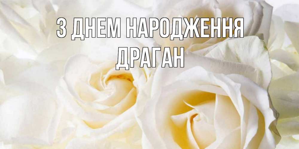 Открытка на каждый день з підписом, Драган З Днем народження открыточки на день рождения любимым Прикольна листівка з побажанням онлайн скачати безкоштовно 