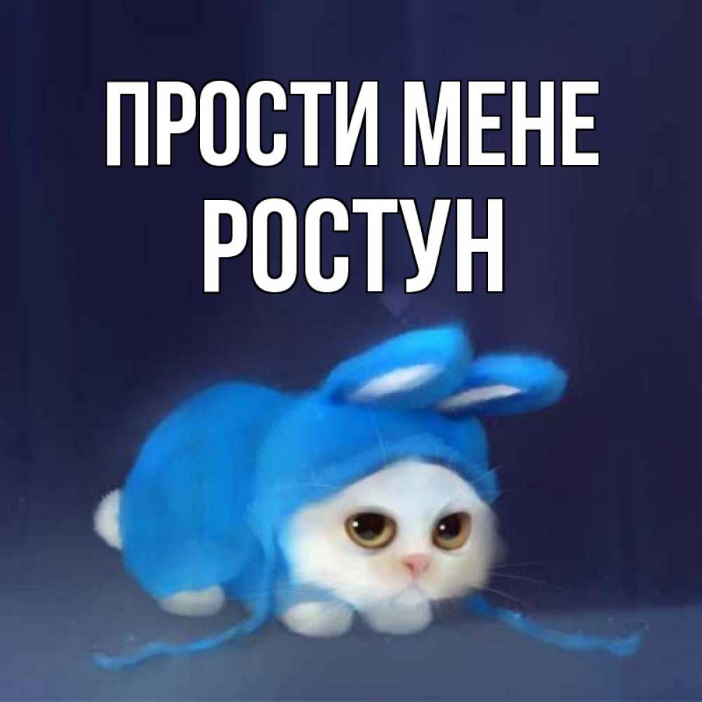 Открытка на каждый день з підписом, Ростун Прости мене невинный котозай просит прощения Прикольна листівка з побажанням онлайн скачати безкоштовно 