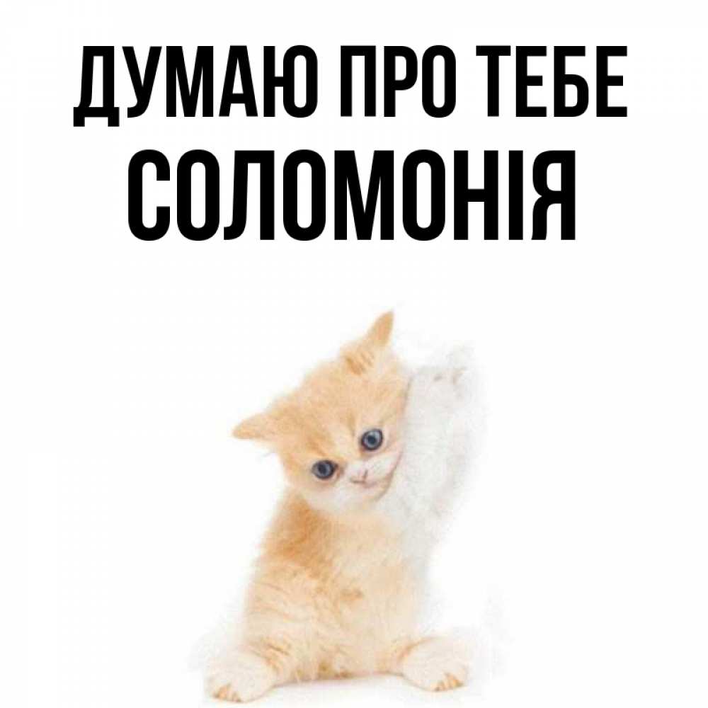 Открытка на каждый день з підписом, Соломонія Думаю про тебе зверушки и милота Прикольна листівка з побажанням онлайн скачати безкоштовно 