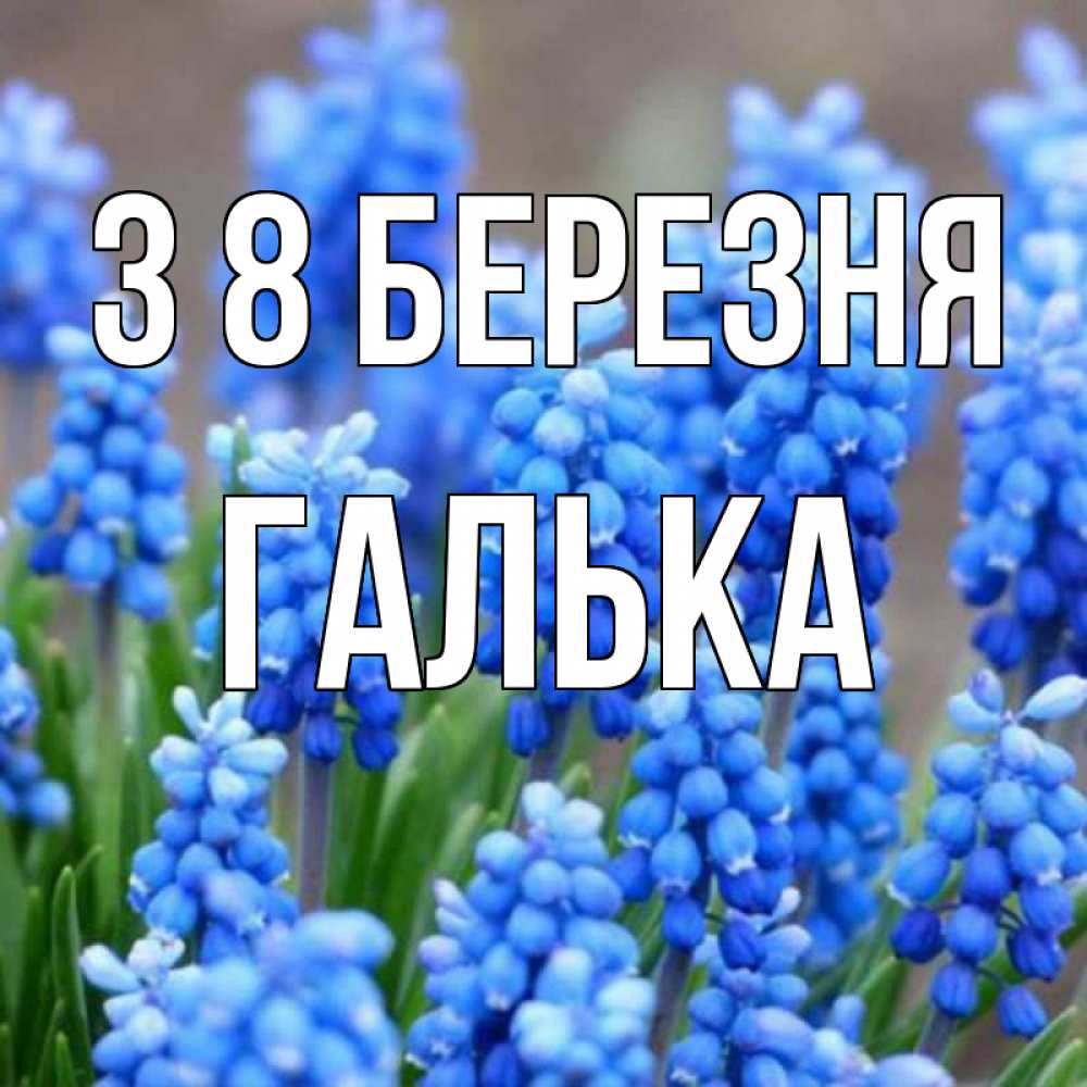 Открытка на каждый день з підписом, Галька З 8 БЕРЕЗНЯ Поздравительная открытка для женщин с цветами на праздничную дату Прикольна листівка з побажанням онлайн скачати безкоштовно 