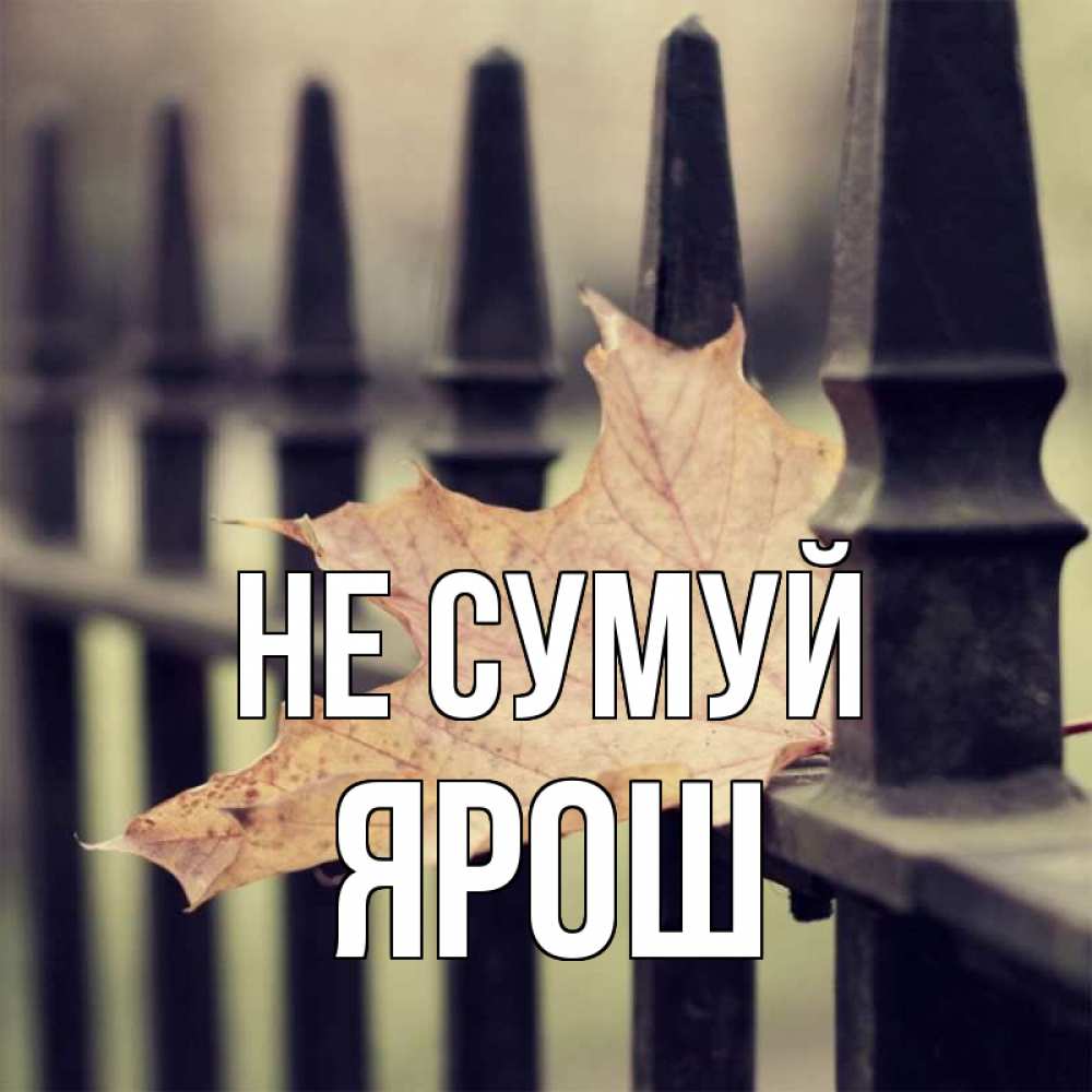 Открытка на каждый день з підписом, Ярош Не сумуй лист клена Прикольна листівка з побажанням онлайн скачати безкоштовно 