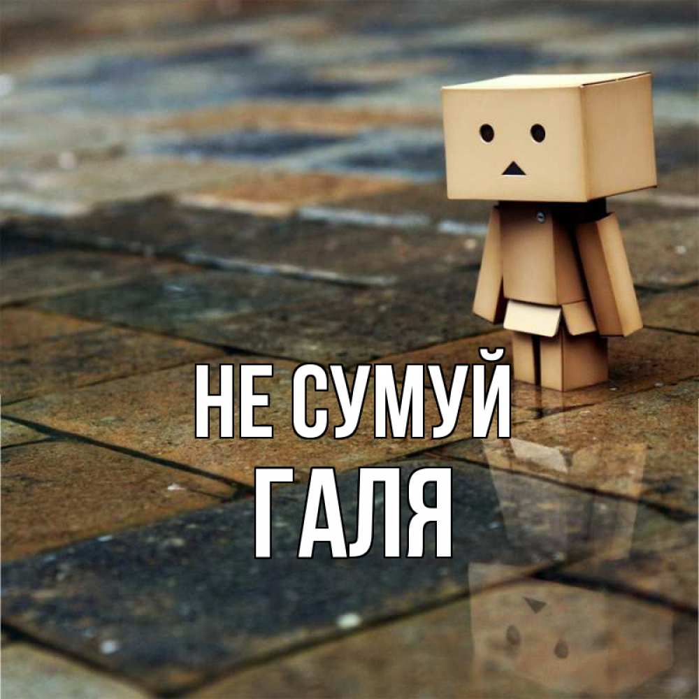 Открытка на каждый день з підписом, Галя Не сумуй Стив Прикольна листівка з побажанням онлайн скачати безкоштовно 